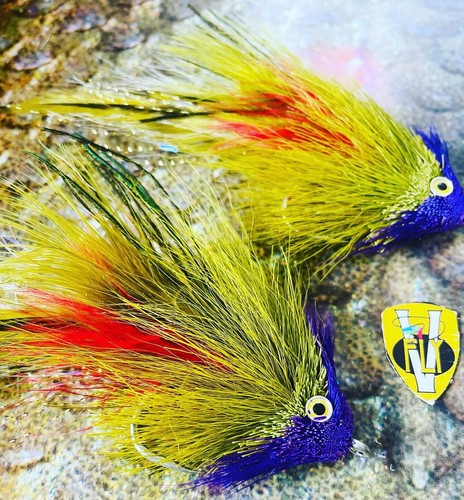 Fly size 0 hd - v, 6/0